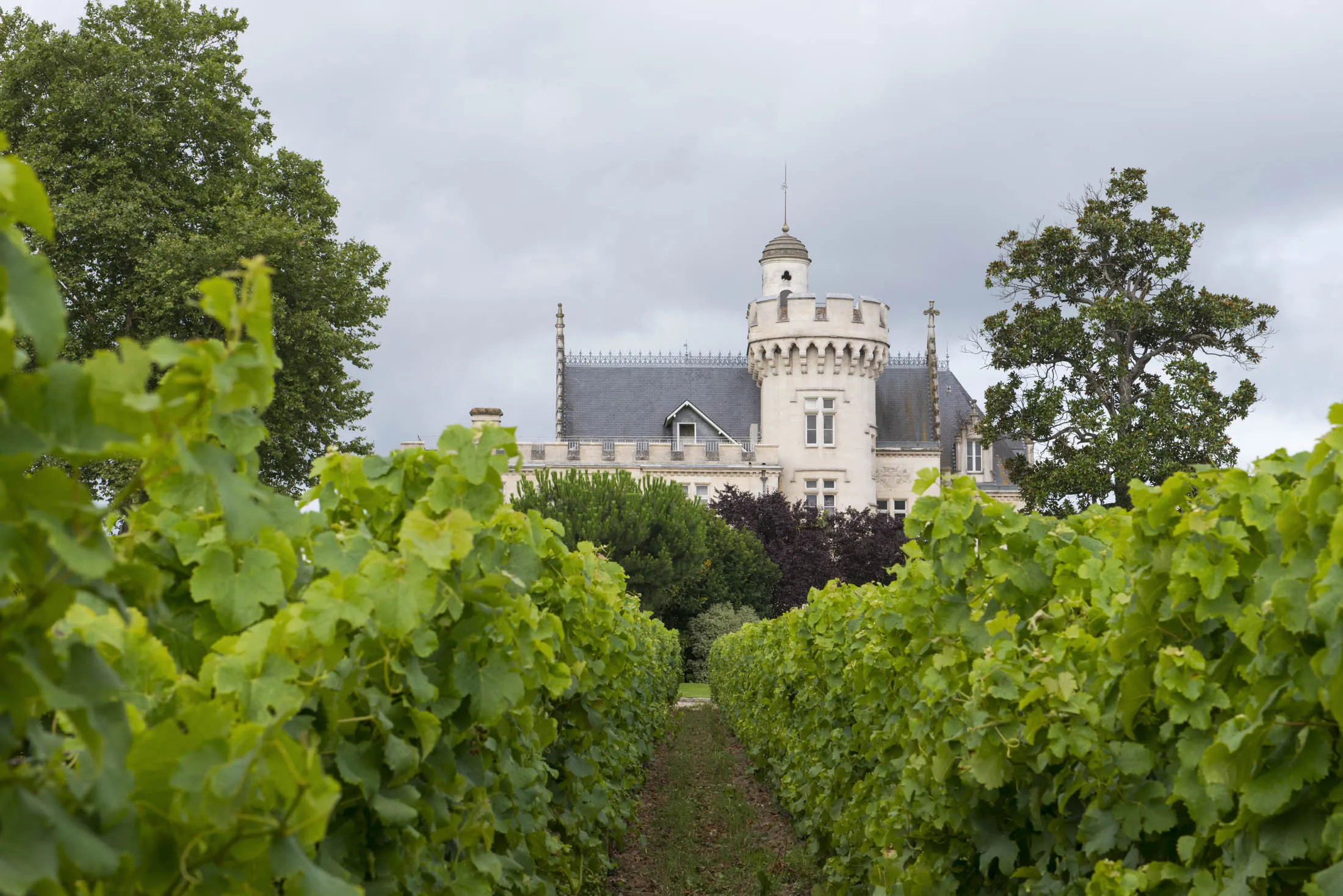 Once home to a pope, Château Pape Clément is now a hotel where you can eat like a king.