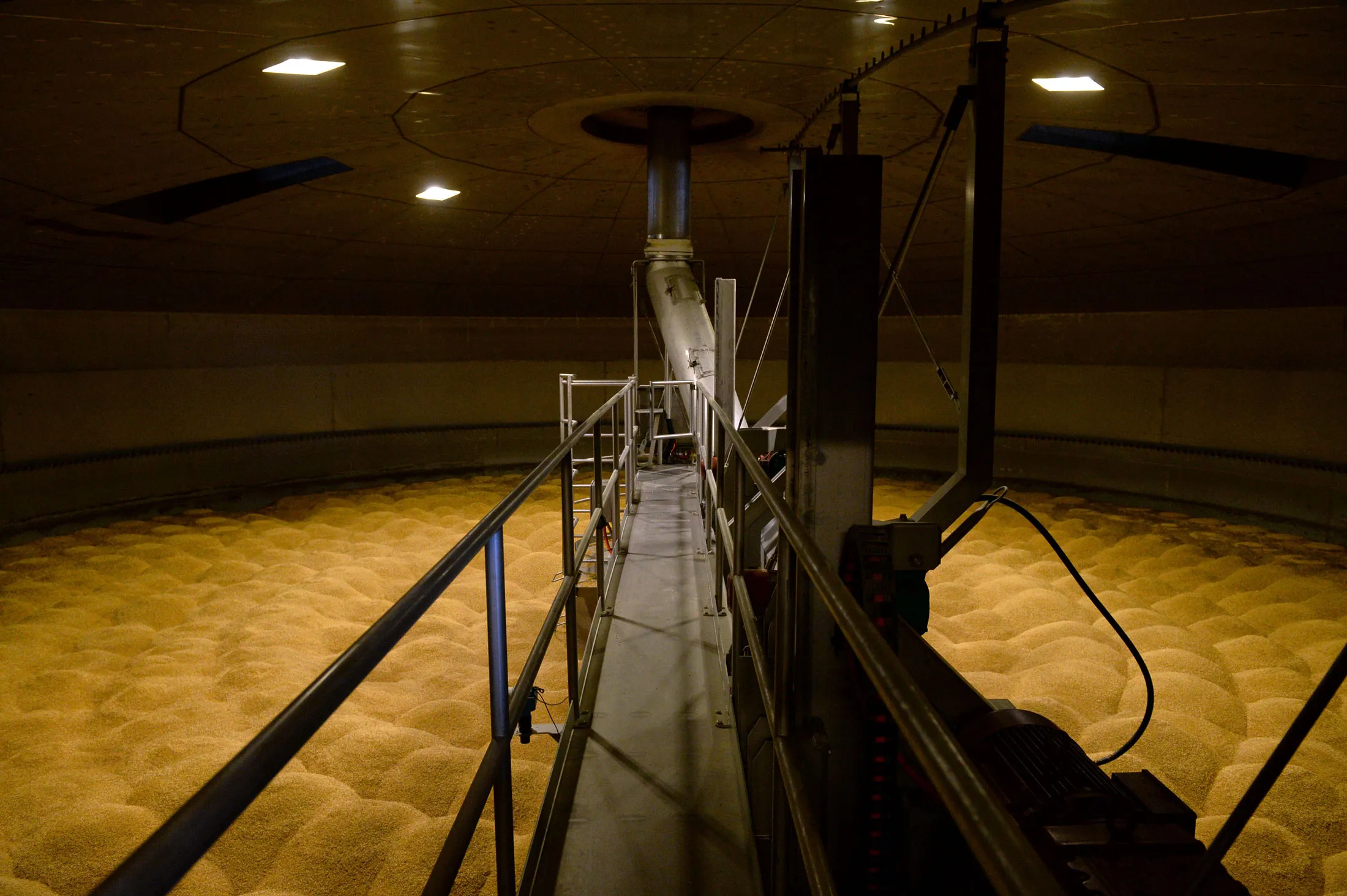 Barley in a tank during a stage of the malting process at the Boortmalt production facilities in Antwerp.

