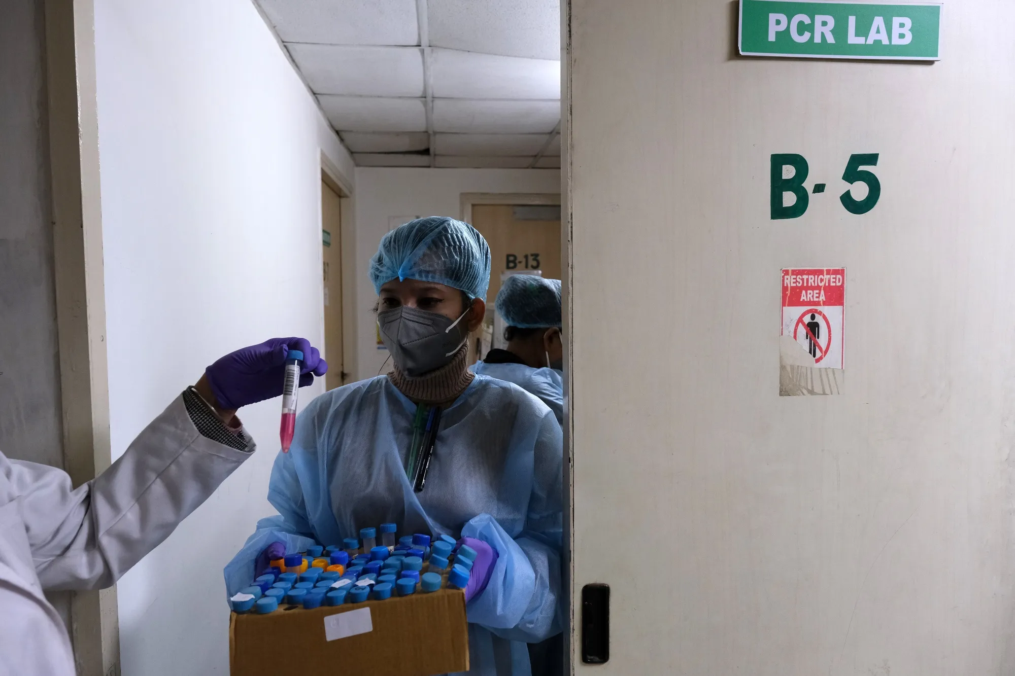 A technician inspects samples for Covid-19 RT PCR testing in Noida, Uttar Pradesh, India.