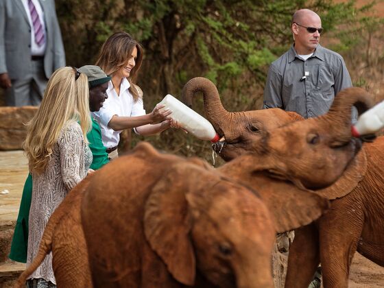 Melania Trump Feeds Elephants in Kenya, Drawing Contrast With Stepsons