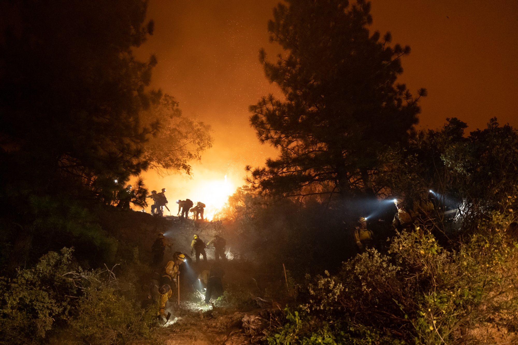 Firefighters saw trees on a hillside in order to open the path for bulldozers during the Mosquito Fire near Foresthill, California, on Sept. 7.