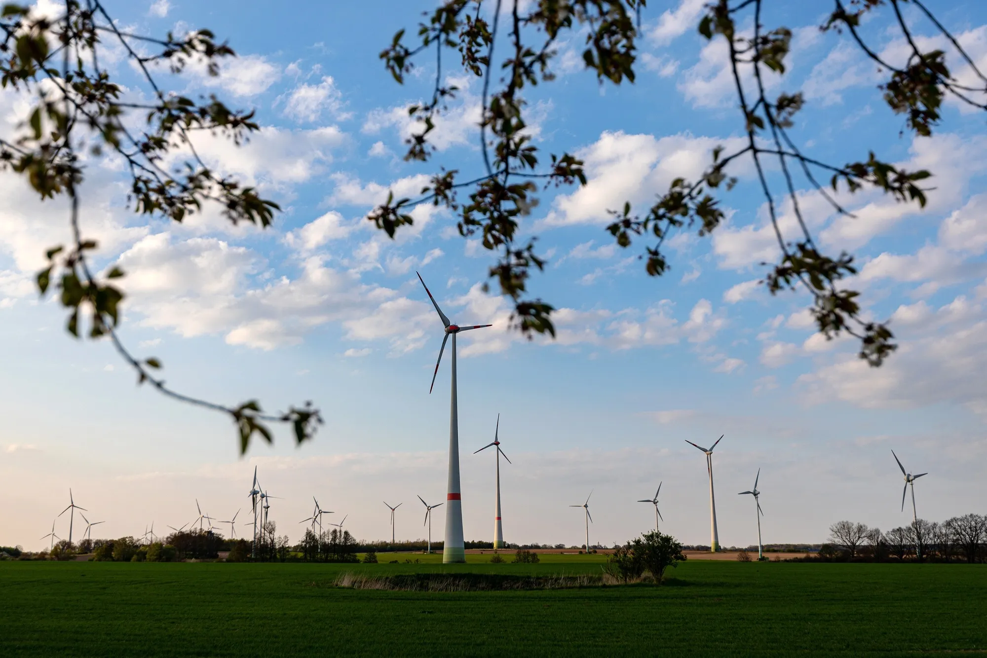 Wind turbines&nbsp;in Brandenburg, Germany.