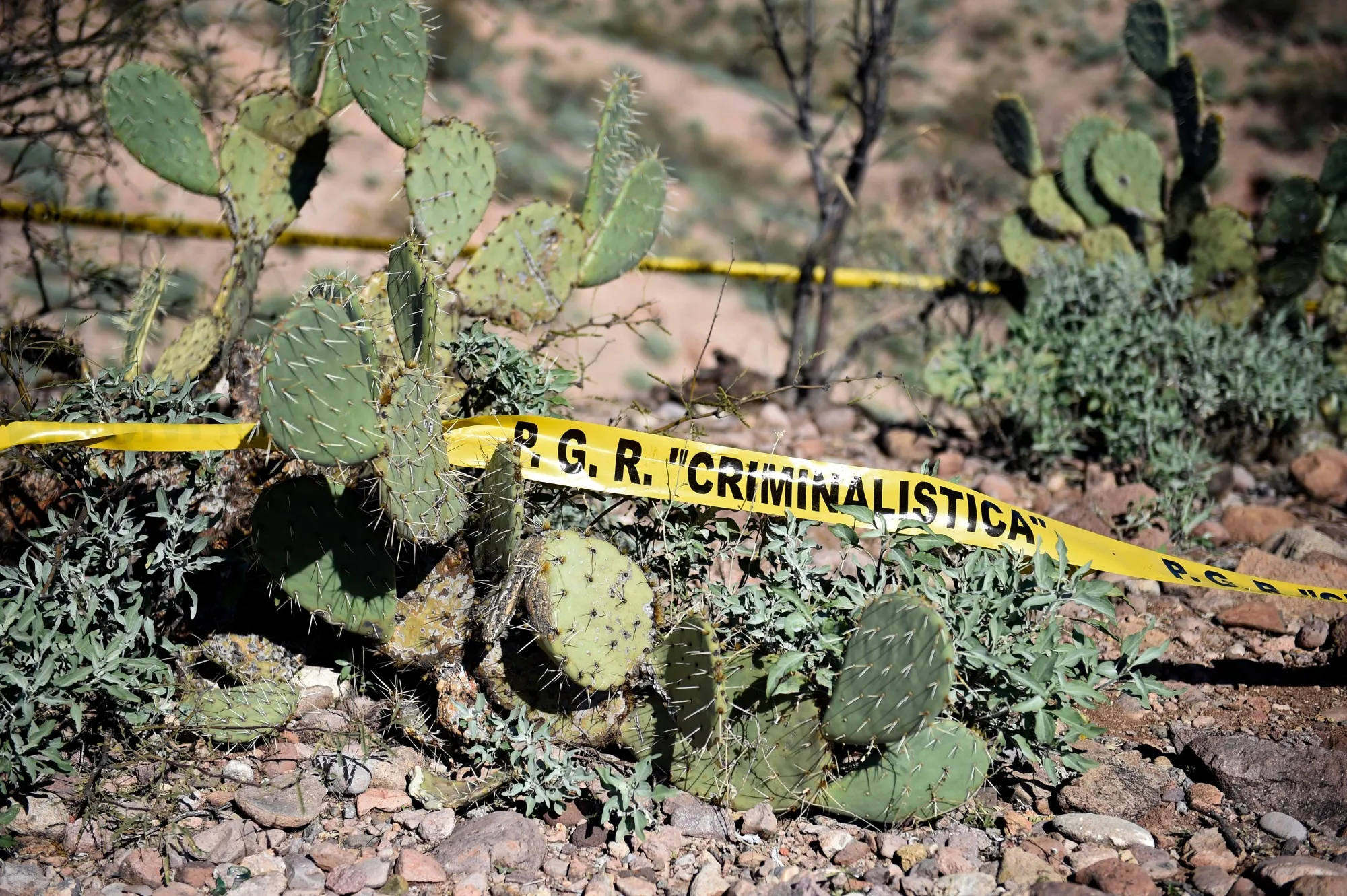 MEXICO-US-DRUGS-MORMON-ATTACK-LOPEZ OBRADOR-SECURITY