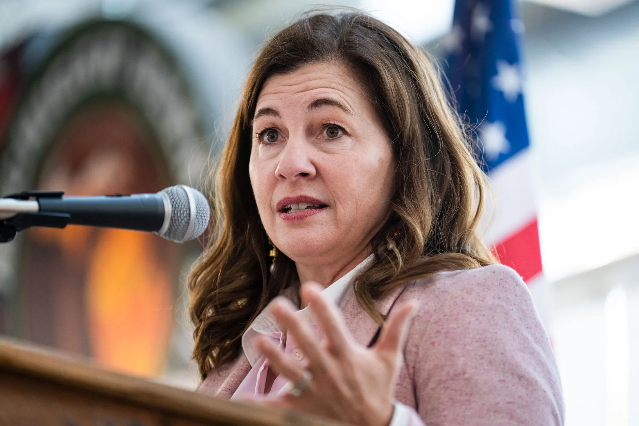 Democrat Kristen McDonald Rivet Wins Michigan's 8th District: US House ...