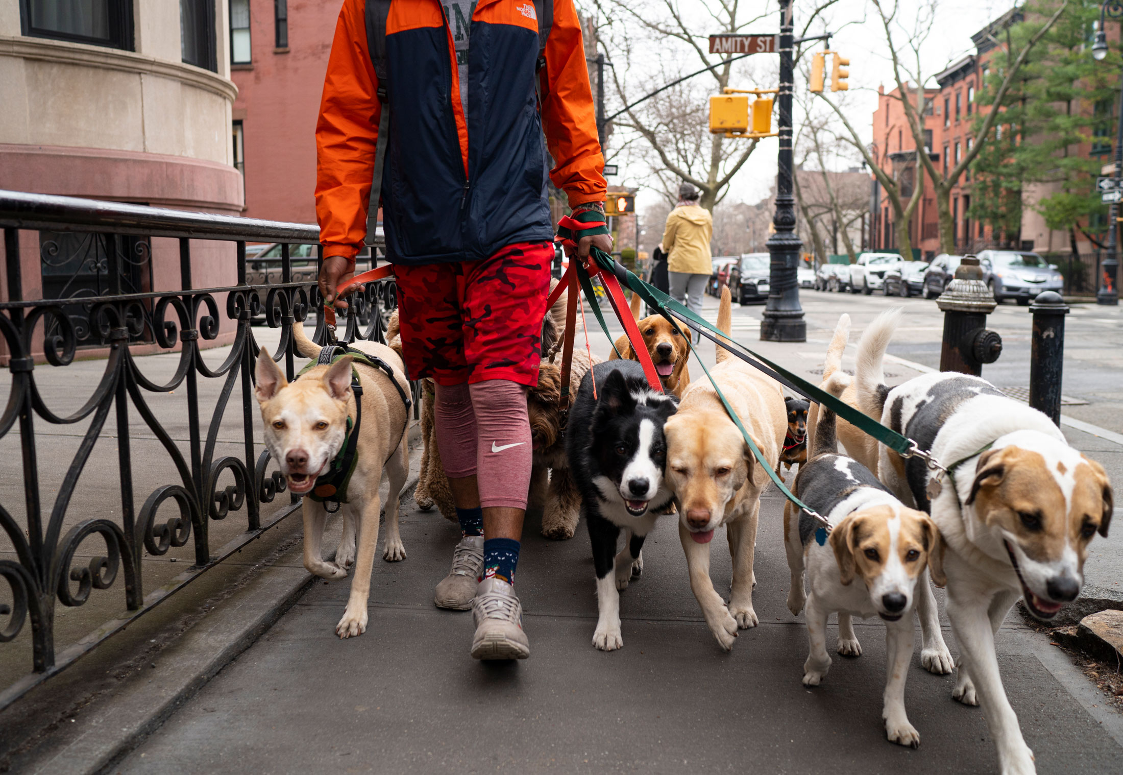 Little Earth New York Giants Dog Puffer Vest