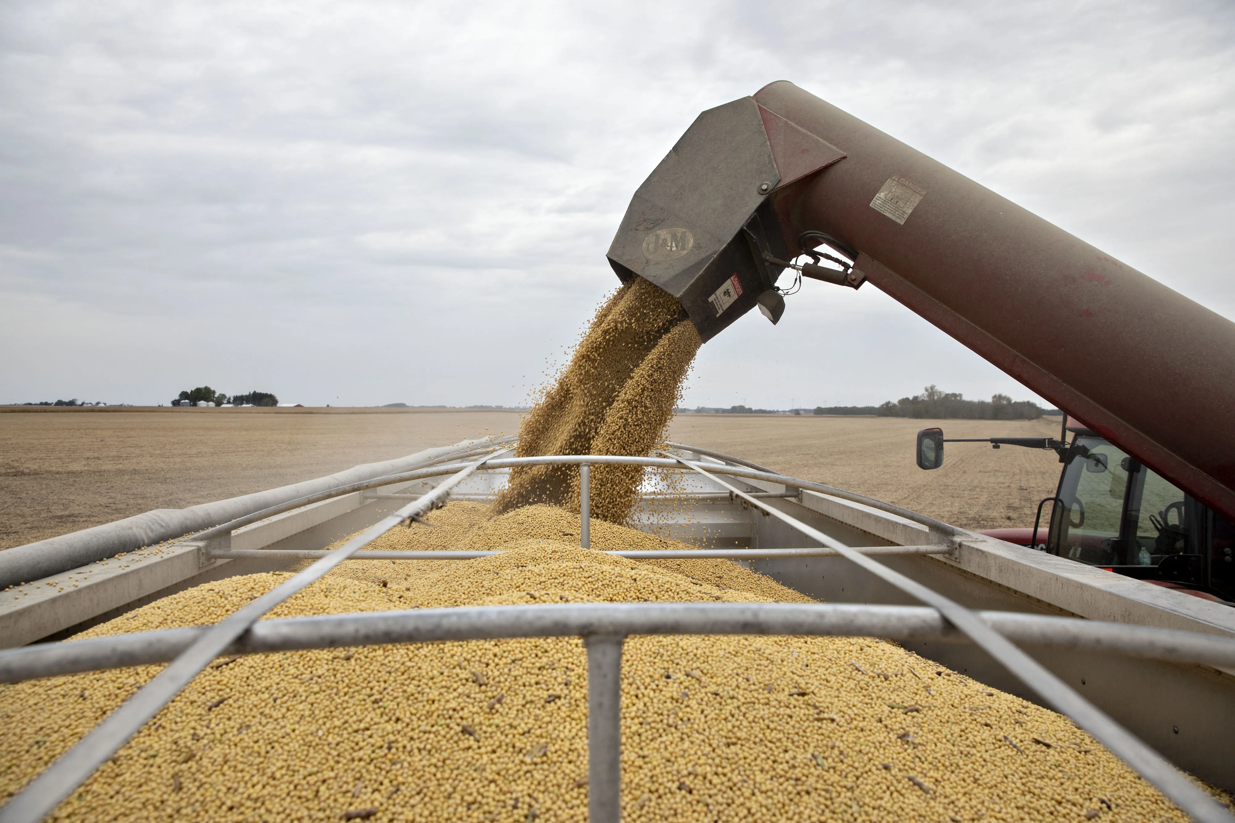 Soybeans are unloaded from a grain wagon during harvest in Wyanet, Illinois.