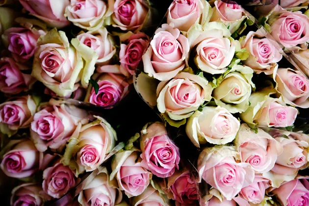 1-800-Flowers Gets No Bouquets From the Disappointed