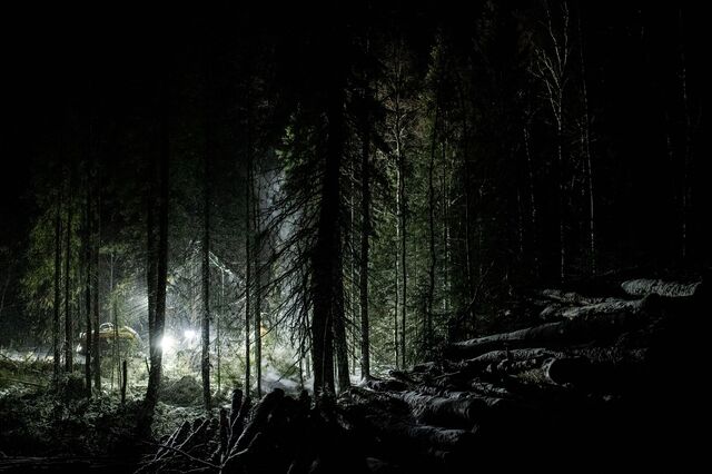 Logging in Sweden