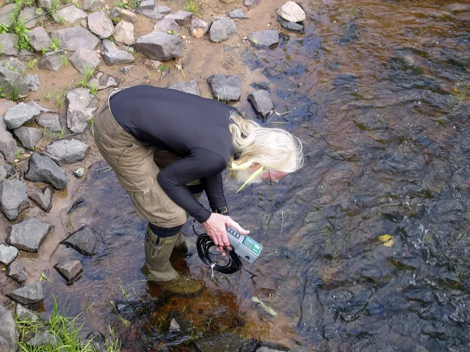 The Yellow Dog Watershed Preserve in Marquette County, Michigan, an area that has bucked population decline trends in part by capitalizing on its outdoor amenities.