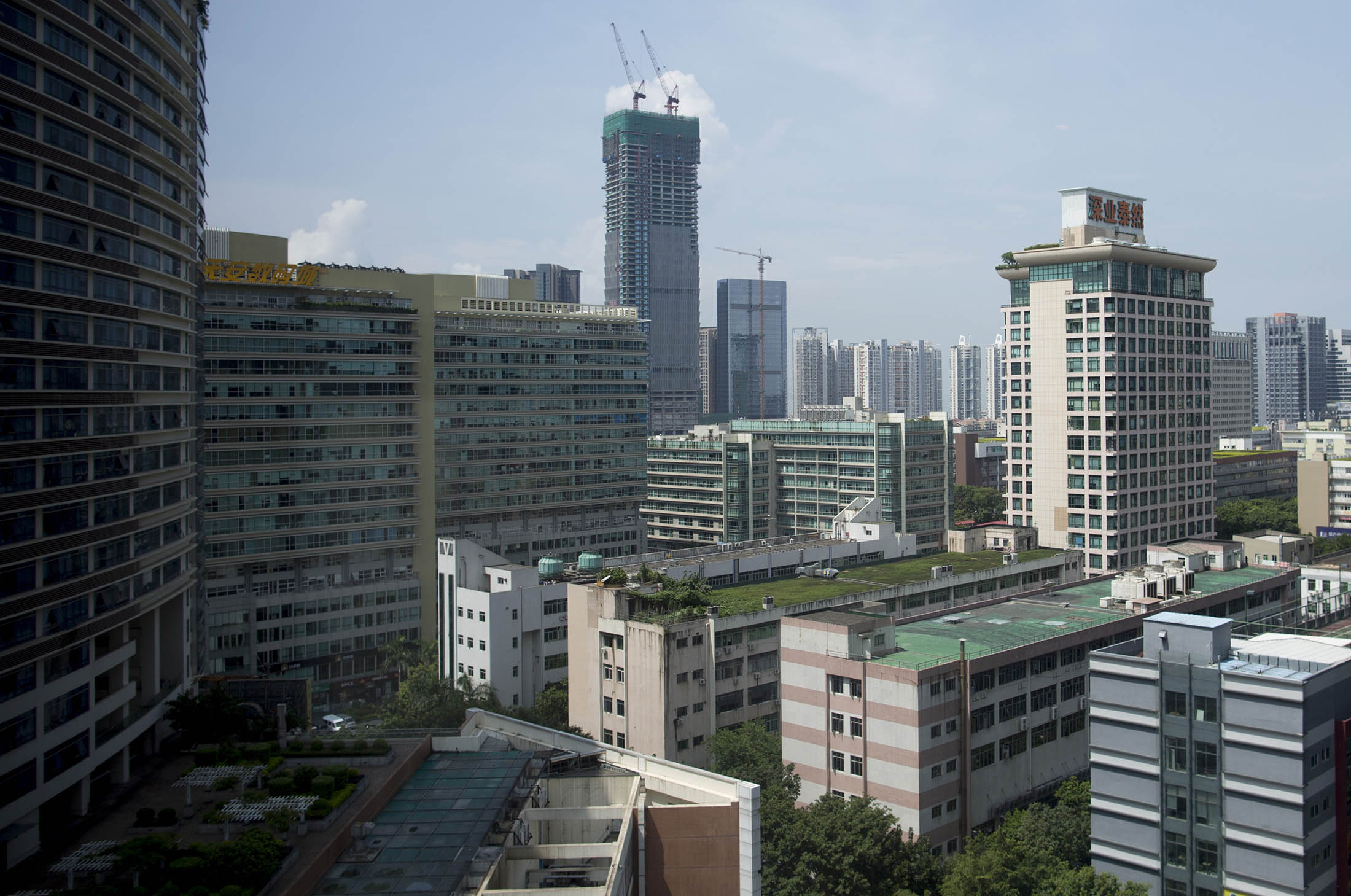 China's Real Estate Frenzy Is Back as Shenzhen Prices Surge 50 Bloomberg
