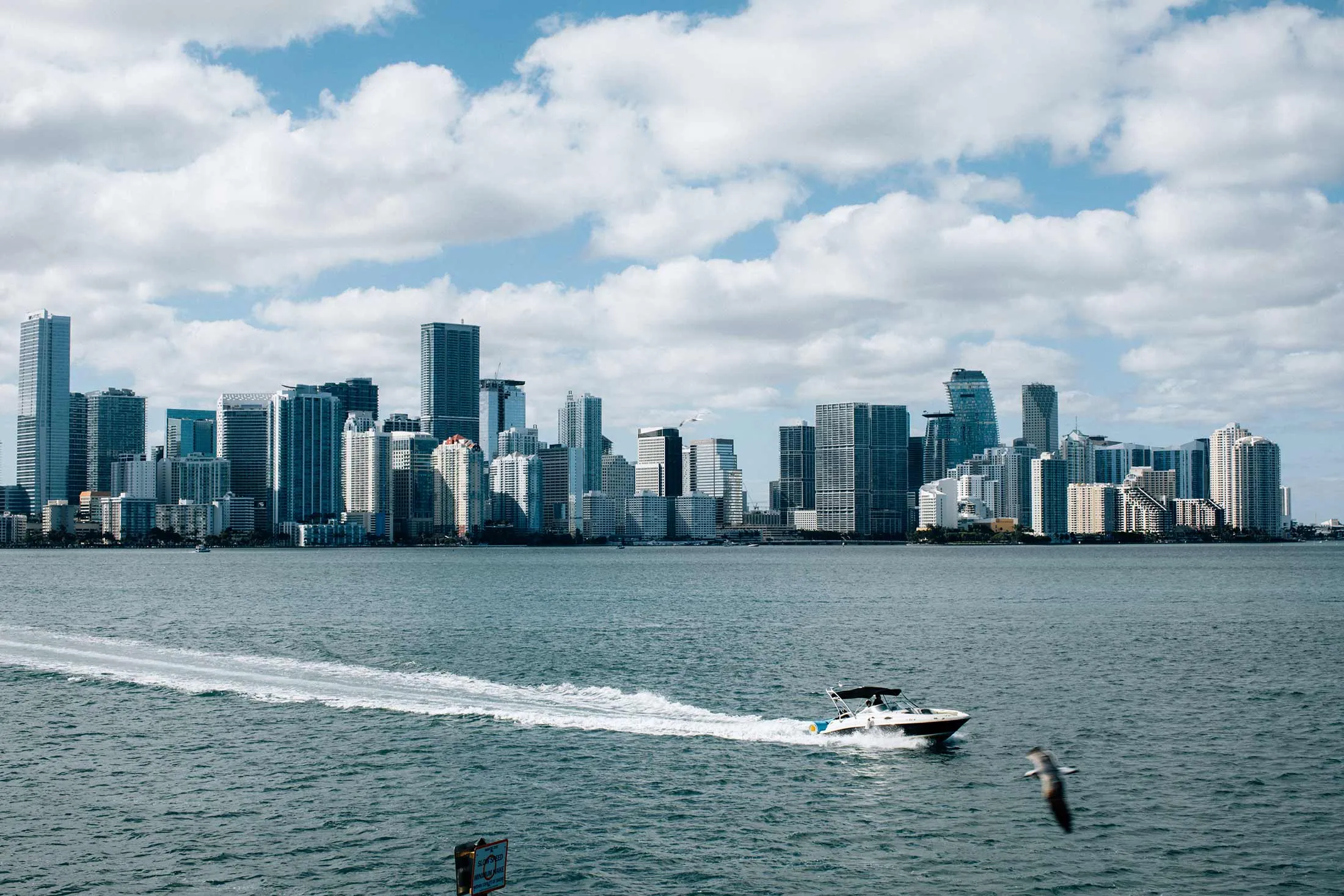 The Miami skyline. 