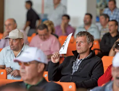 For Sale, Cheap: The Cranes in Spain