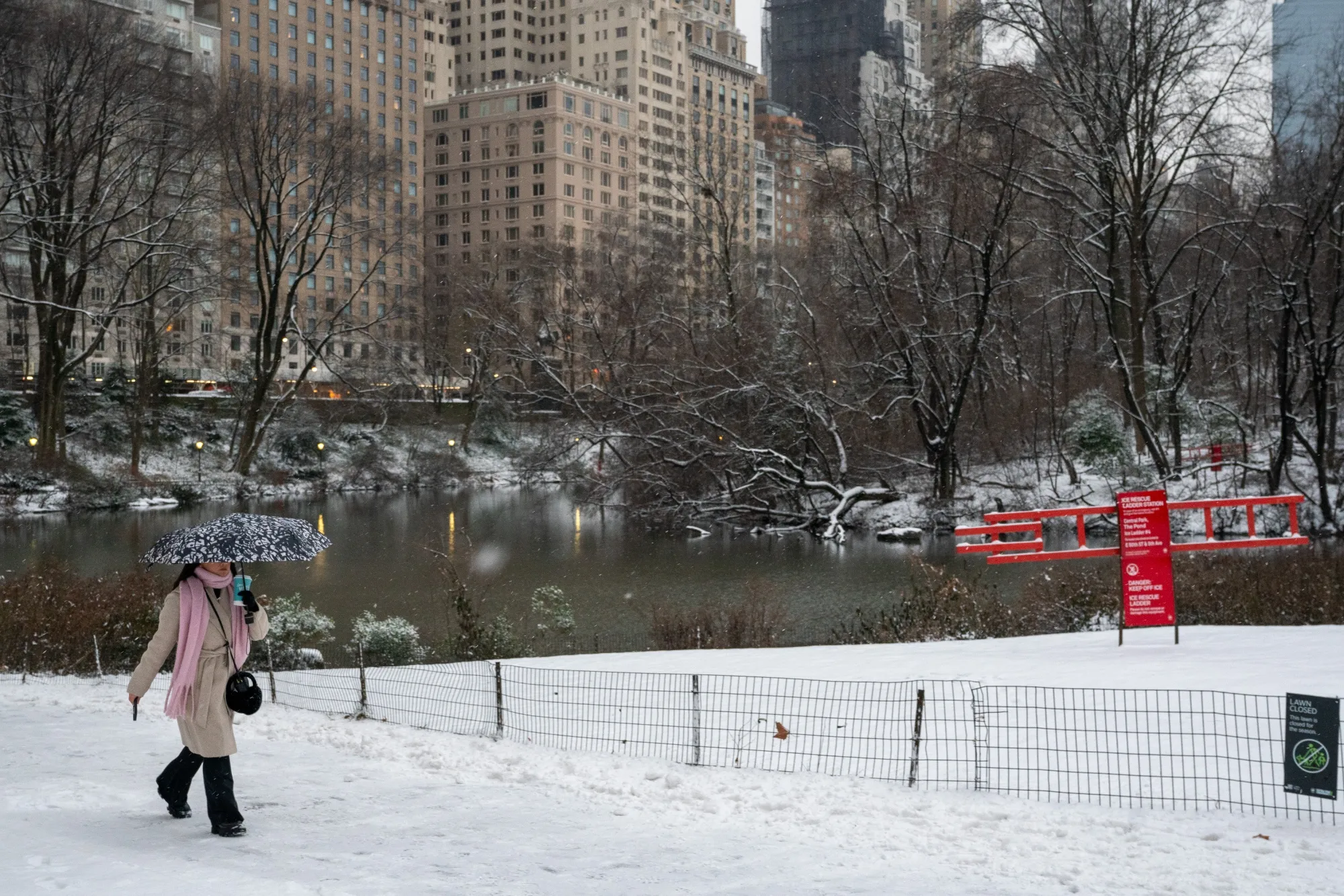 A pedestrian in Central Park during a snow storm in New York&nbsp;on&nbsp;Jan. 16.