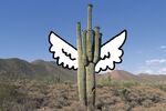 Why Is Angel Investing Hot in Tucson?
