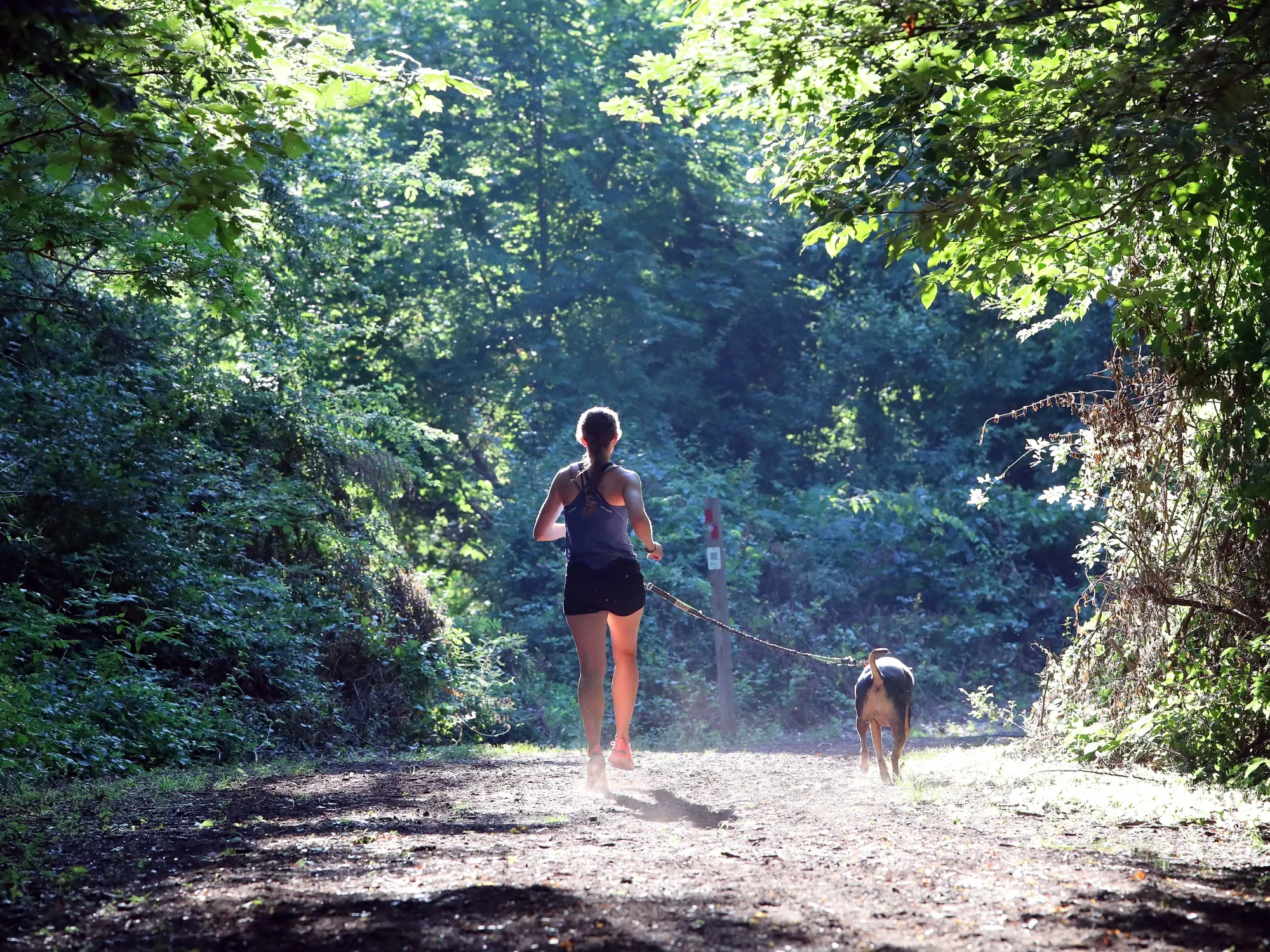 Have you calculated your tick-bite risk&nbsp;lately?