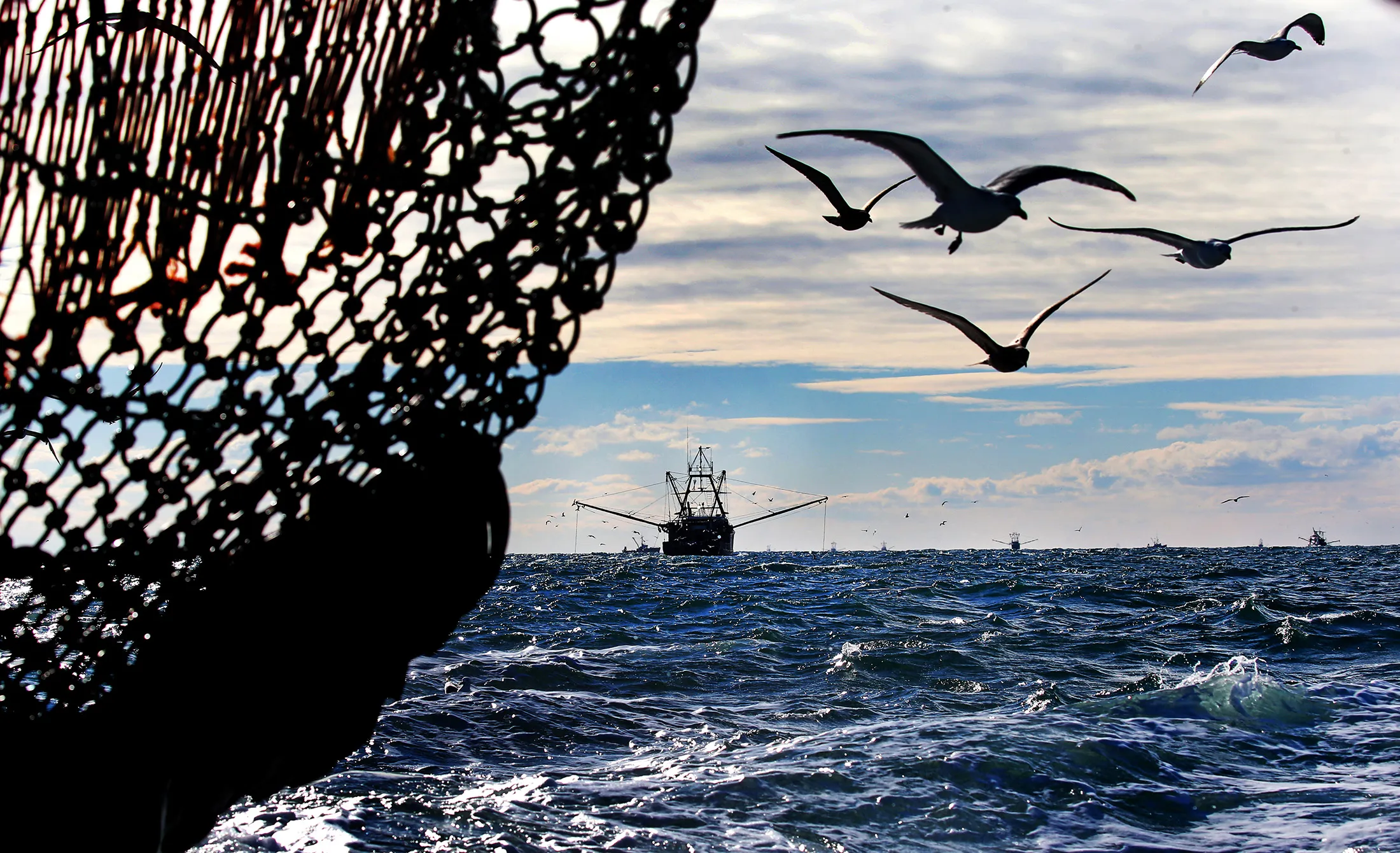 Small Boat Scallop Fisherman Fear Being Overwhelmed By Larger Boats
