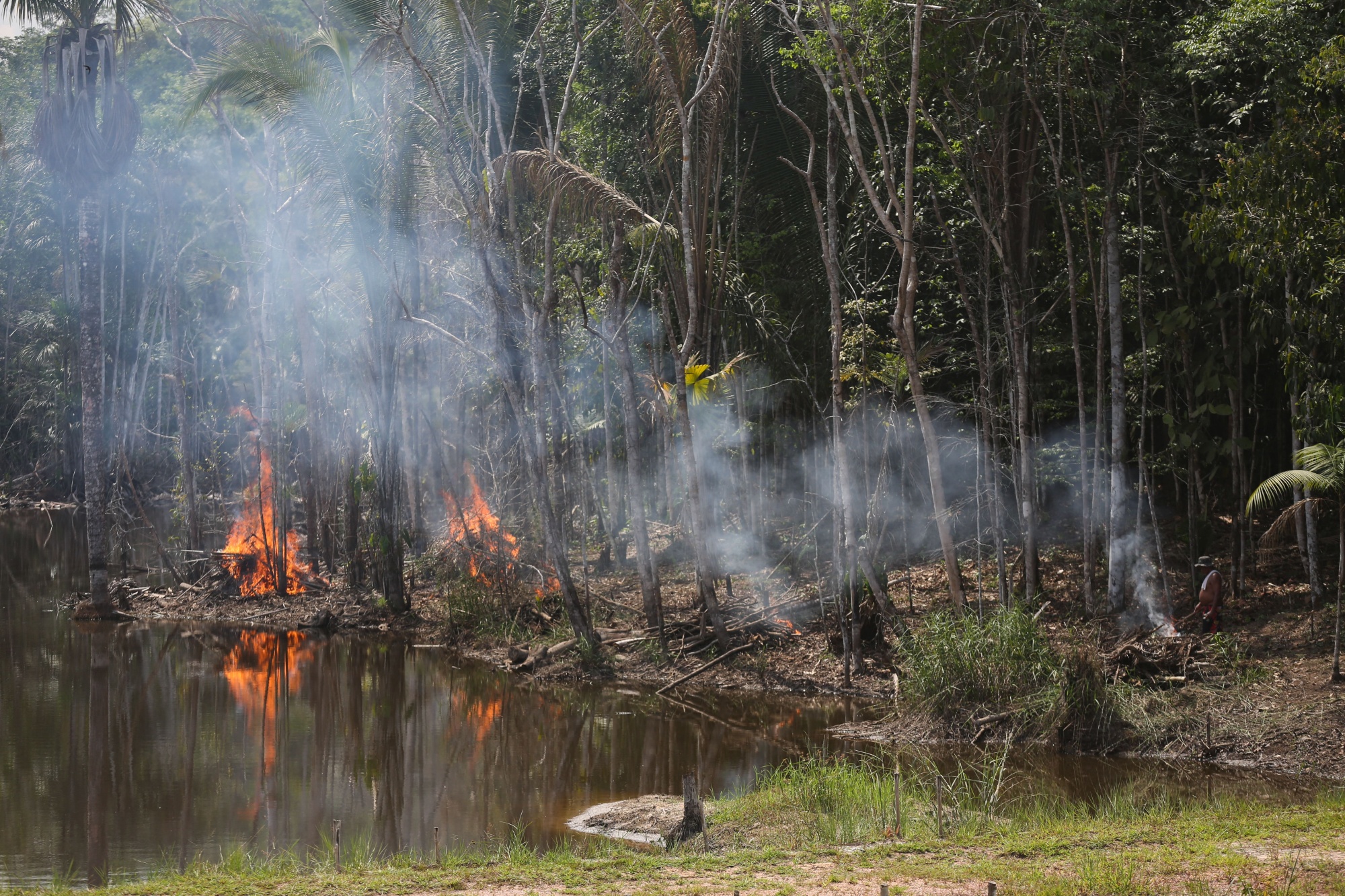 deforestation: Brazil fails to protect world's largest rainforest -  Washington Post