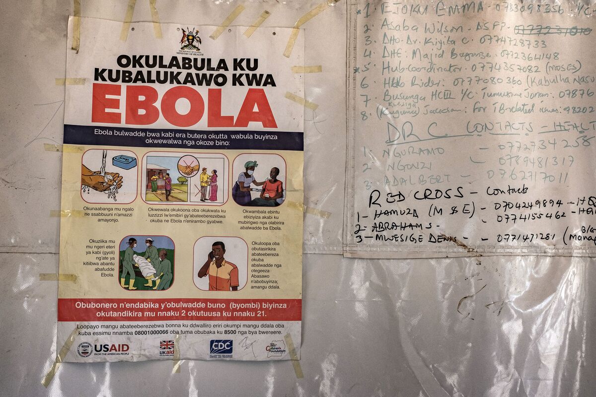 Bats the Size of Chickens Make Africa’s Ebola a Tough Fix