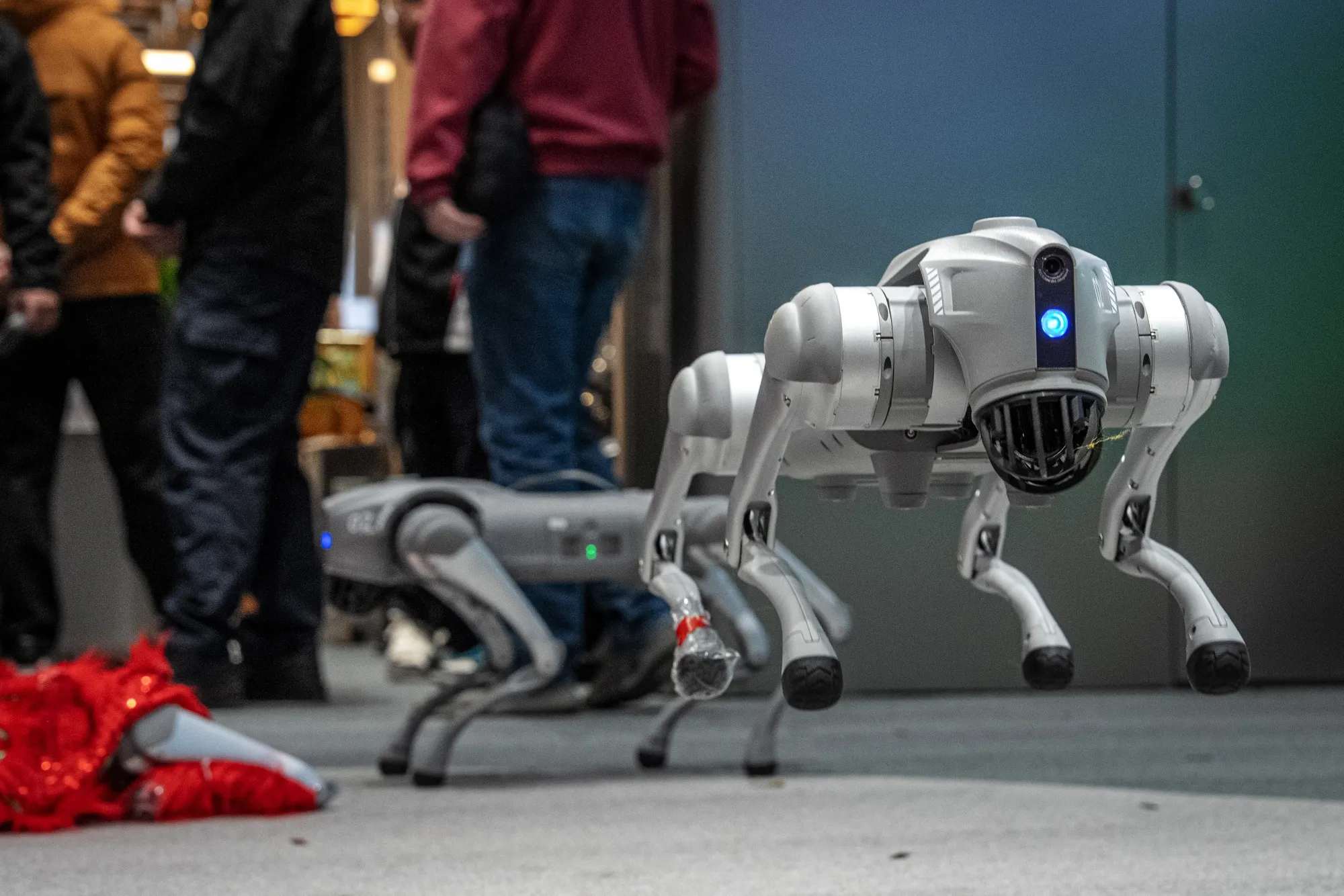 Unitree quadruped robot dogs at the company's store&nbsp;in Beijing.