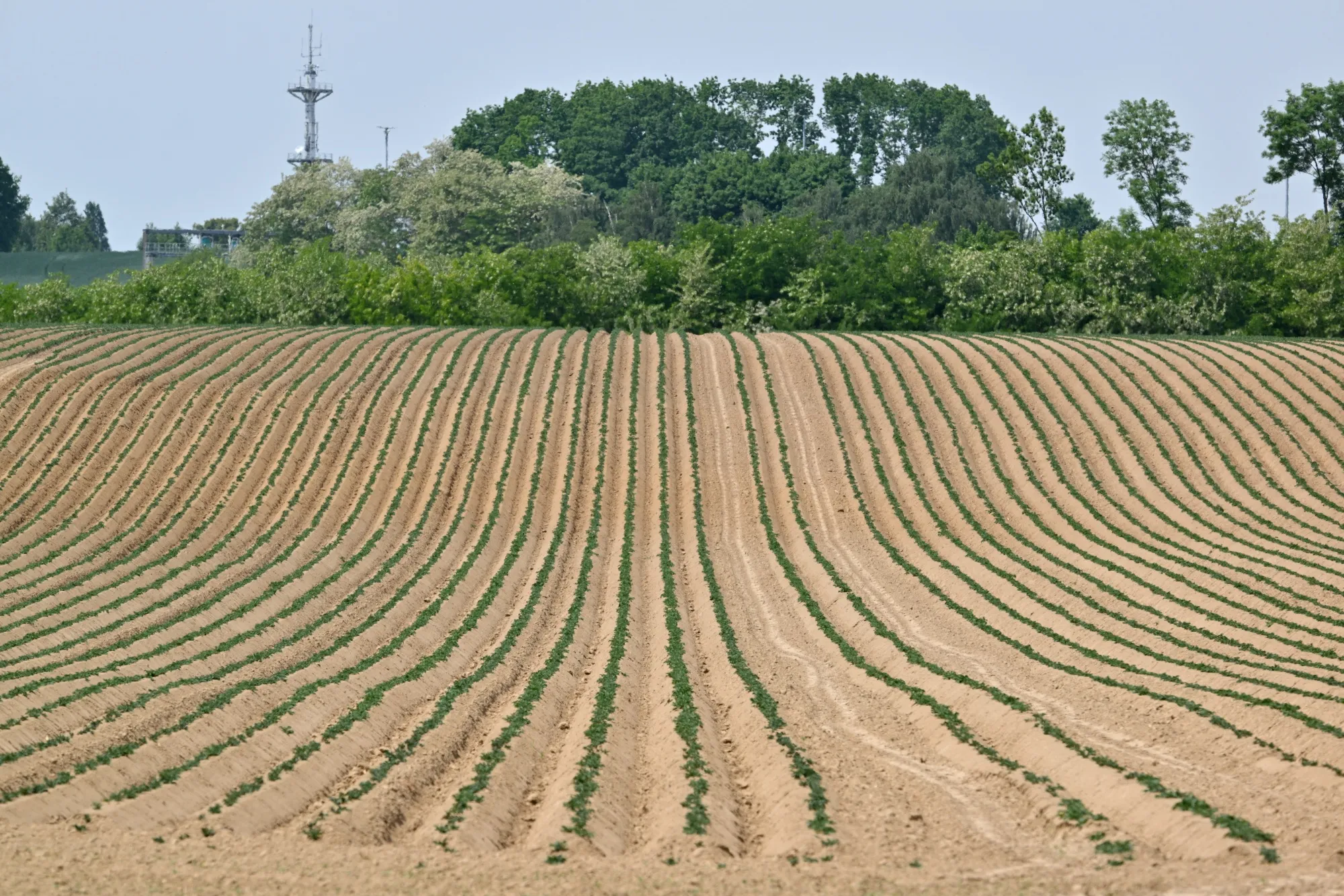 Heat makes it much harder to grow crops effectively.