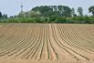 BELGIUM-ENVIRONMENT-AGRICULTURE