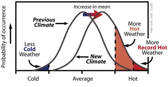 Heatwaves, Fires, Storms: Blame Climate Change for Summer Misery