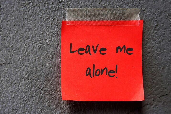 Trump Is Selling the Wrong Idea of Freedom, Says Author of On Tyranny