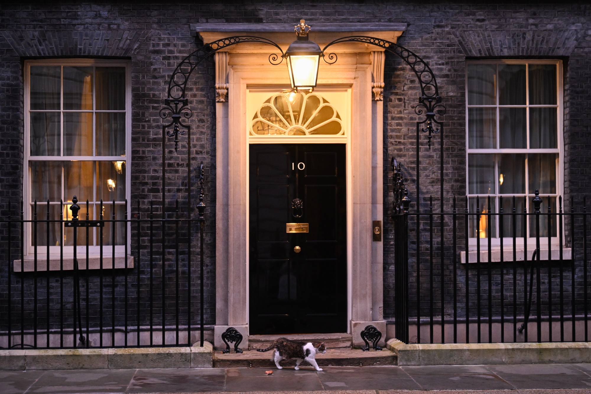 Larry, the Downing Street cat, a brown and white tabby, outside 10 Downing Street in London, UK, on Tuesday, Feb. 10, 2026. Keir Starmer shored up his position as UK prime minister during a dramatic day in Westminster that at times seemed like he might be forced to step down. Photographer: Jaimi Joy/Bloomberg