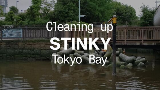 Just Days Before Olympics, Tokyo’s Outdoor Swimming Venue Stinks