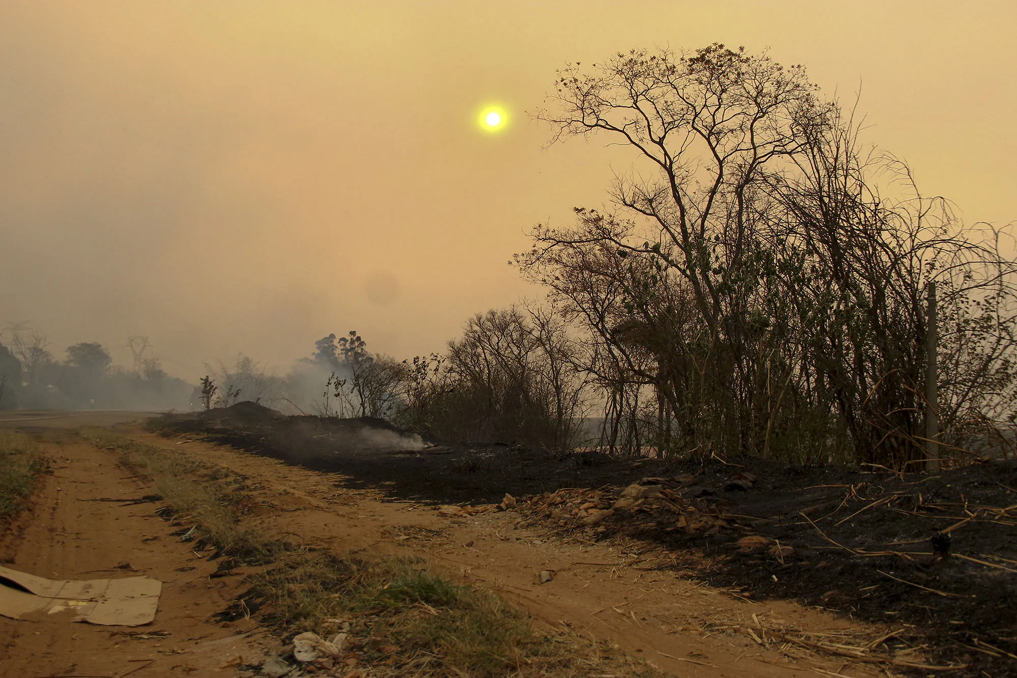 An area affected by bushfires near the SP-215 highway in Sao Carlos,&nbsp;Brazil on Aug. 23.