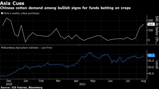 China’s Demand for U.S. Grains Is Bright Spot in Jittery Market