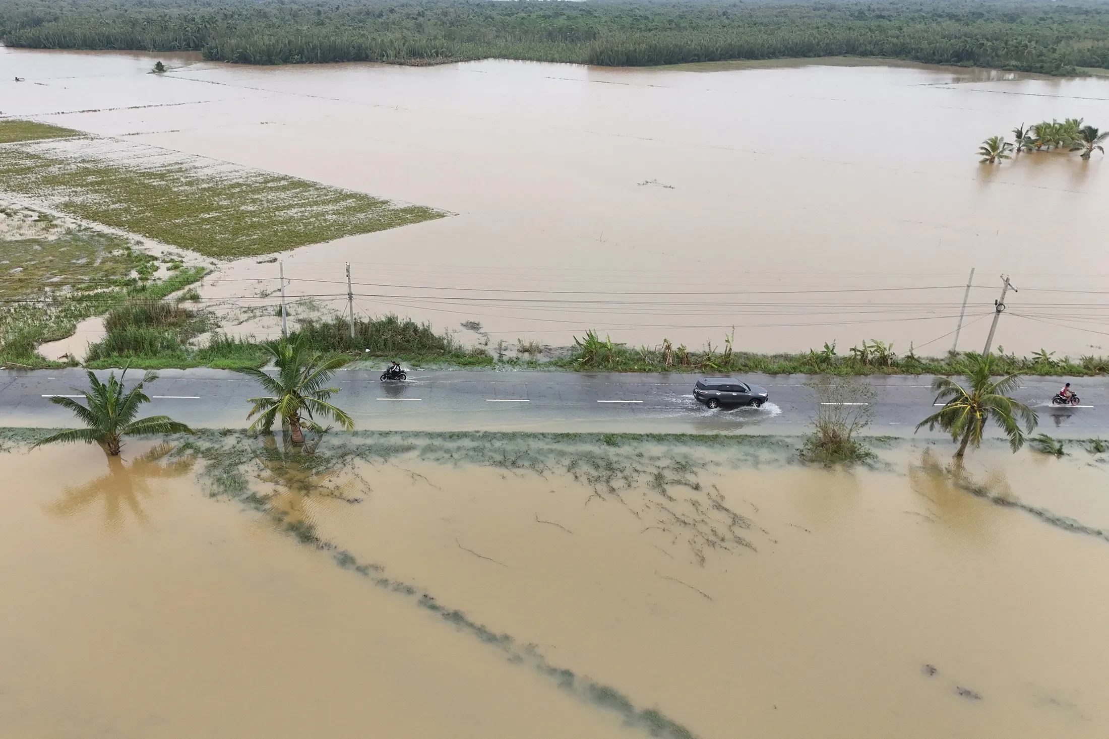How to Manage Farming During Flood Seasons