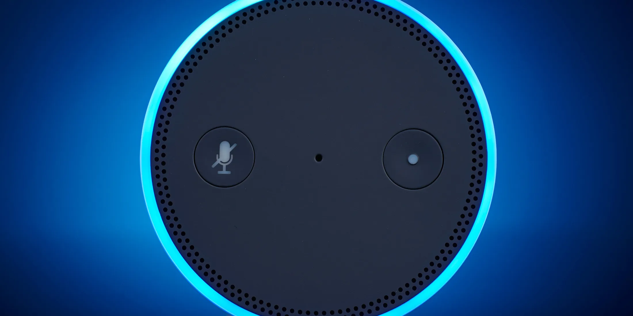 Home With Alexa Smart Speaker: What Data Is Collected? By Whom? - Bloomberg