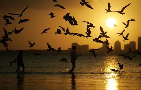 Balmy Spring Weather Settles Over Miami