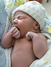 Dropbox: The Best Online Photo-Sharing Site