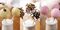 Cake Pops