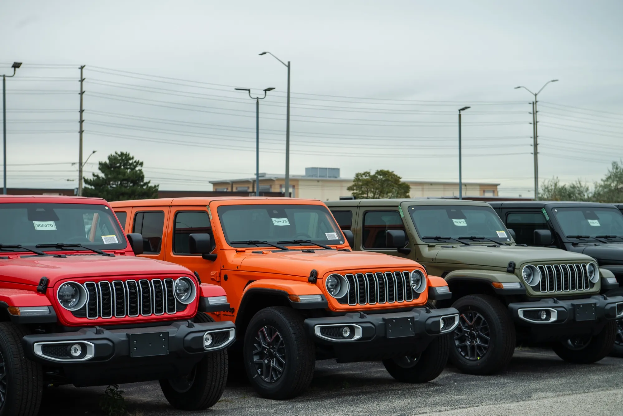 Jeep Wrangler SUVs.