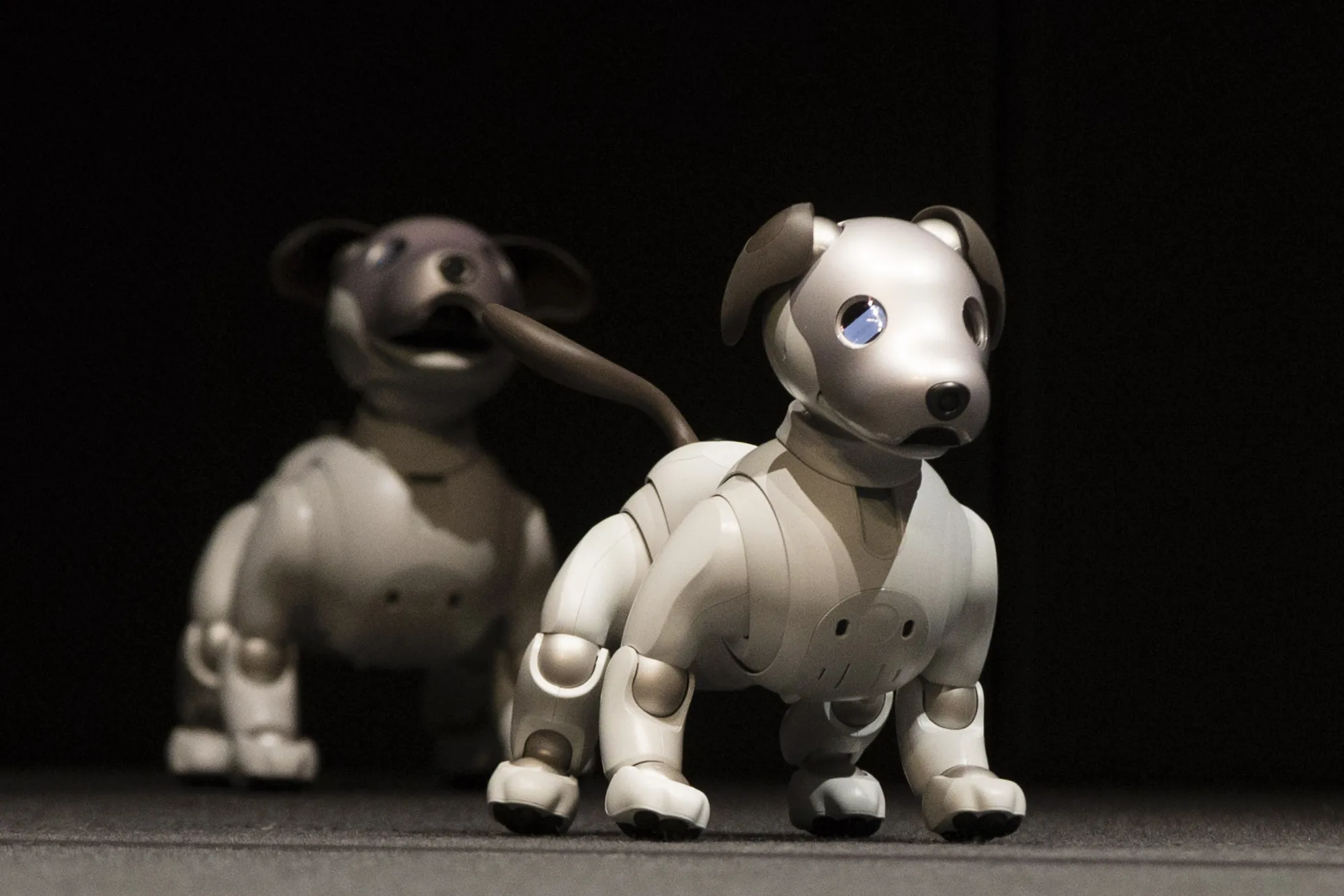 ソニーの犬型ロボット「アイボ」が復活、AI搭載し来年発売 - Bloomberg