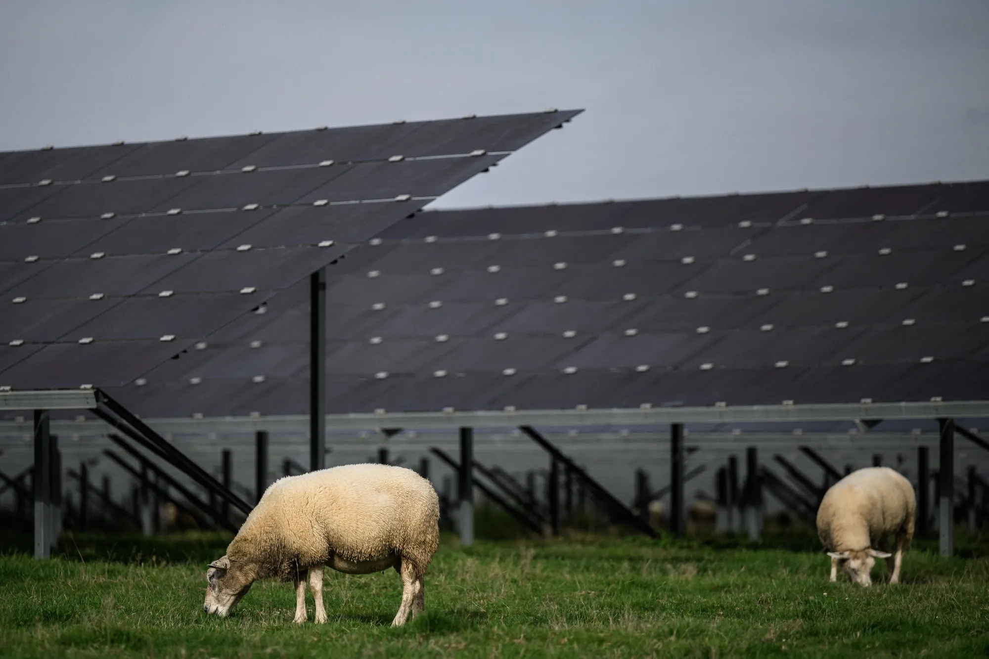 Industrial revolution meets green revolution.
