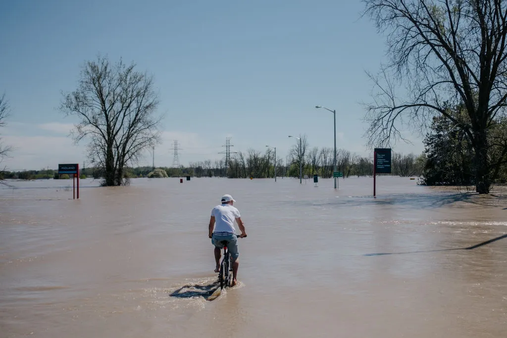 A widespread disaster.