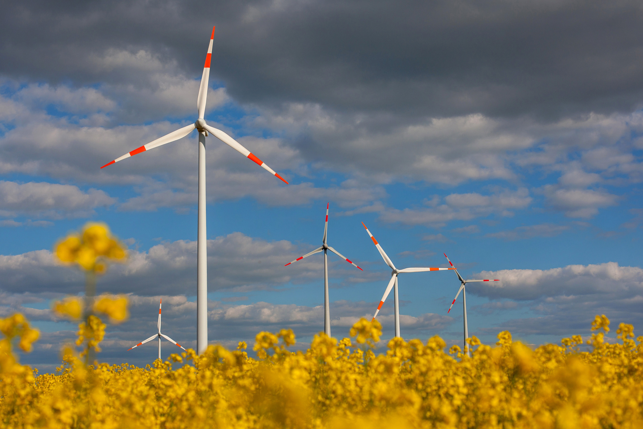 Энергетика германии. Ветроэнергетика в Германии. Ветровая Энергетика Германии. Ветряные турбины в Германии. Ветроэнергетика Германии 2022.