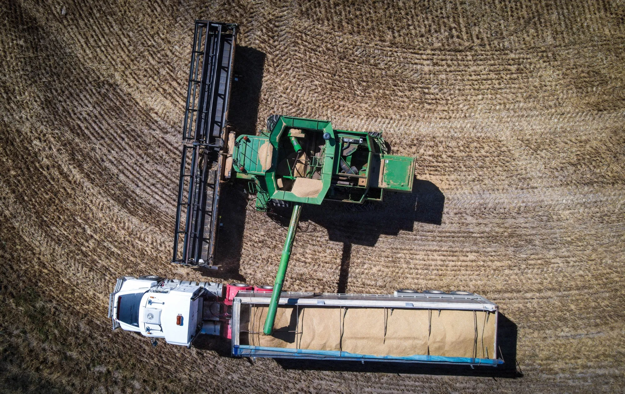 Australia has been a rare beneficiary of Russia’s aggression toward Ukraine that sent commodity and energy prices soaring, pushing its terms of trade to new highs.&nbsp;