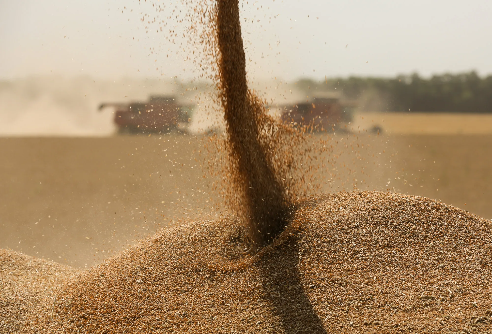 Russian Harvest As Wheat Climbs To Highest Since 2015 On Global Rally
