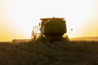 A Wheat Harvest As Grain Futures Mixed With Ukraine And Heat Waves