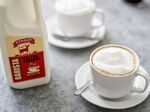 Straus Family Creamery barista milk.