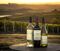 Wines from Bodega Garzón on display at the winery.