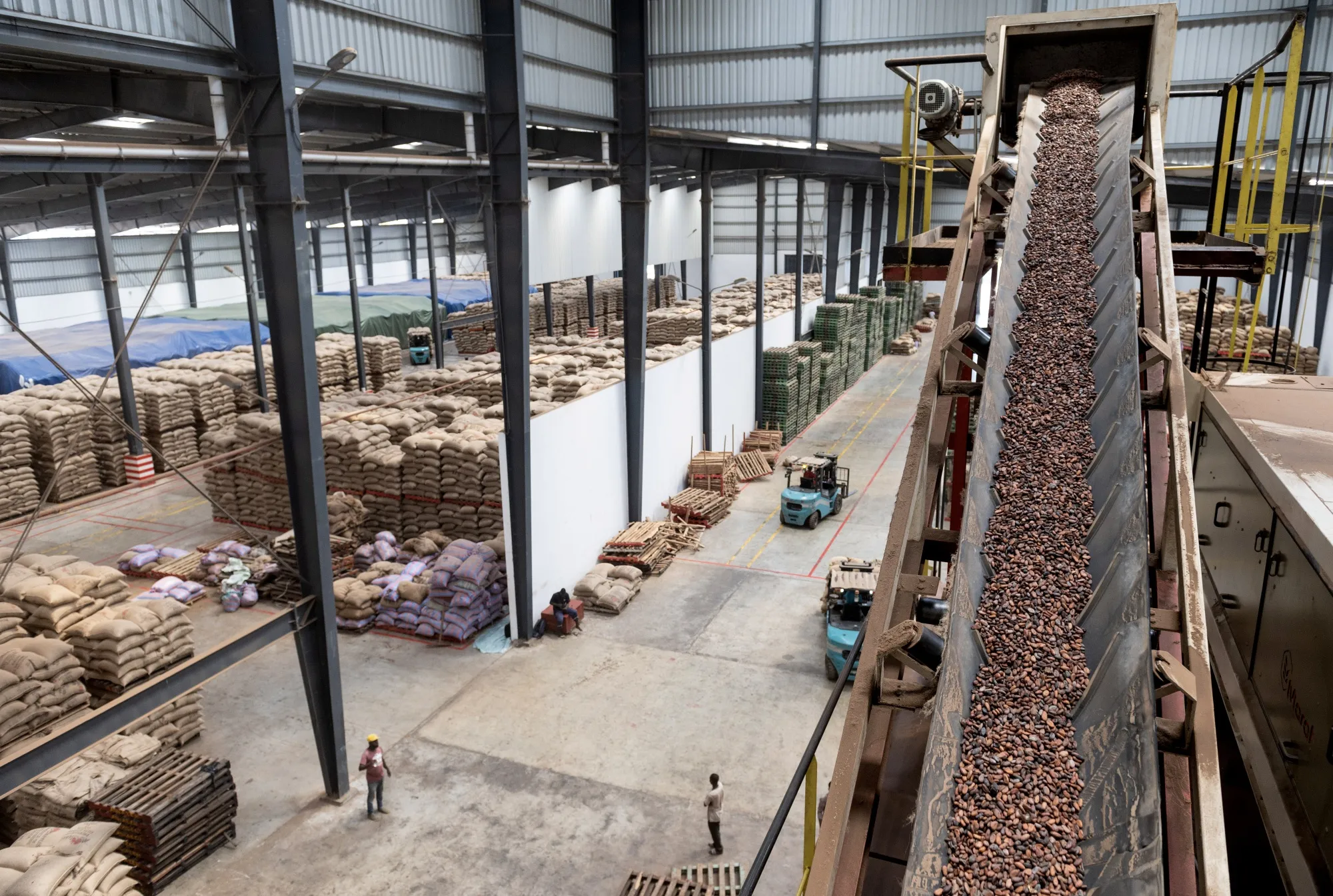 Cocoa beans move to a heating tank for roasting at a plant in the&nbsp;Ivory Coast.