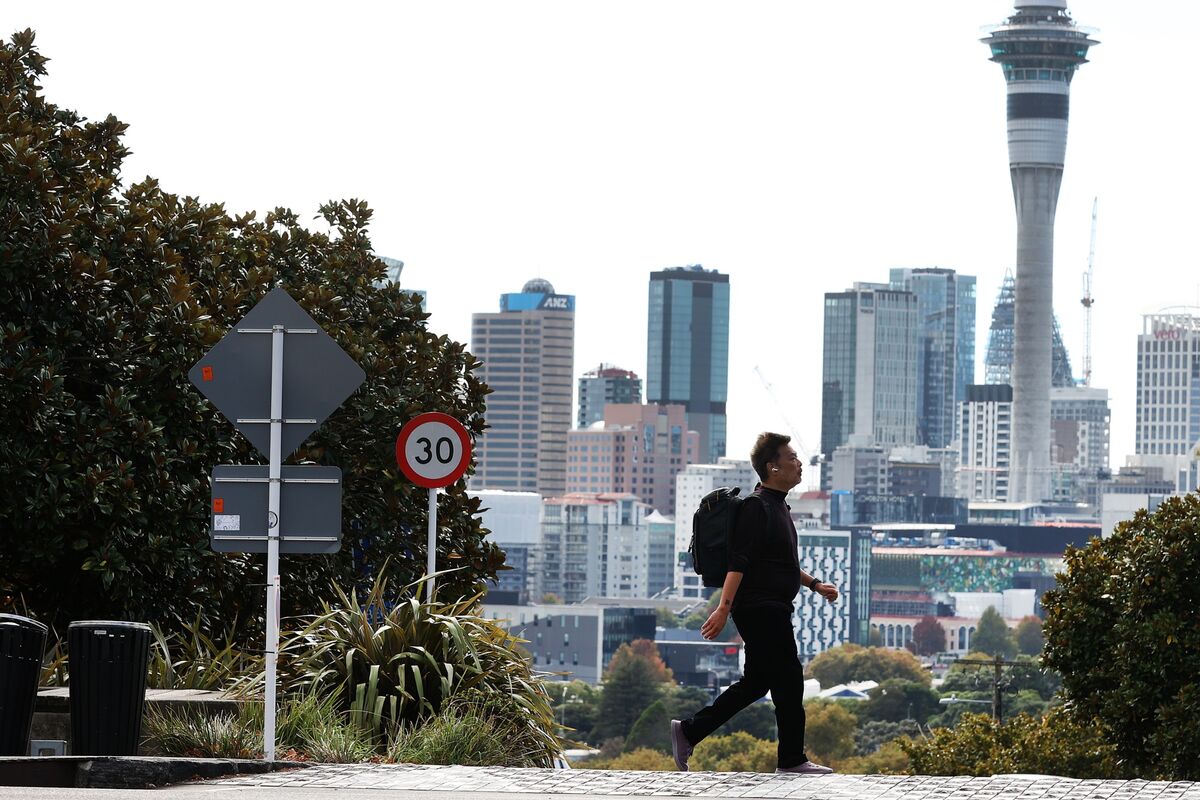 New Zealand Business Confidence Reaches Decade High