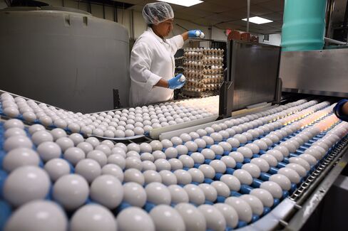 Egg Production
