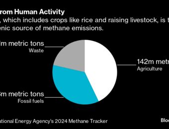 relates to A Drug for Cows Could Curb Methane Emissions from Meat and Dairy
